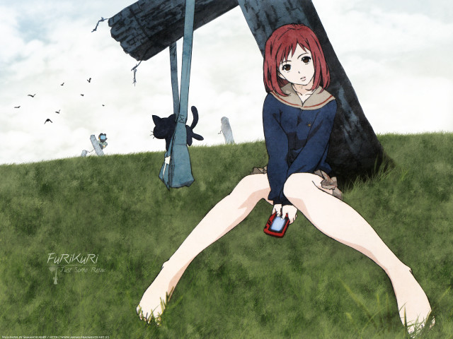 Girl hoodie bush cat nature free wallpaper - medium preview image