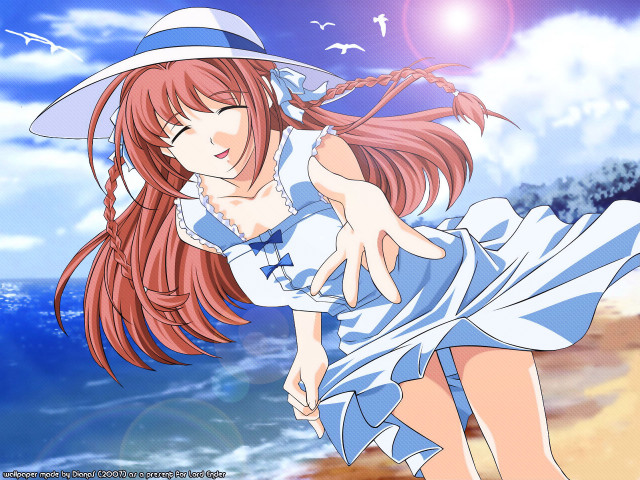 Girl beach hat bird sky free wallpaper - medium preview image