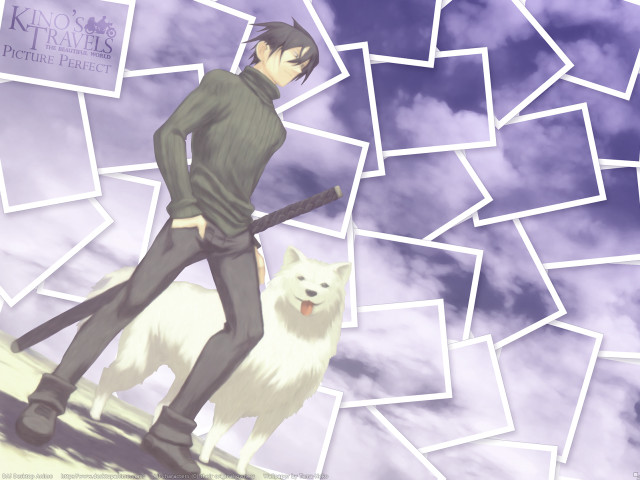 Man dog cloudy sky portrait free wallpaper - medium preview image