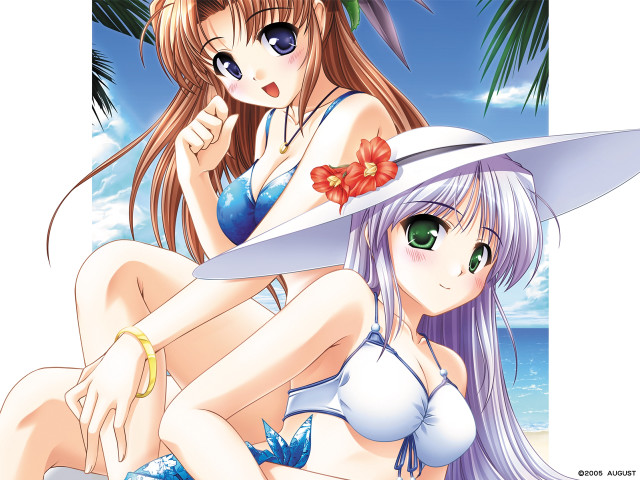 Anime girls beach hibiscus sunny free wallpaper - medium preview image