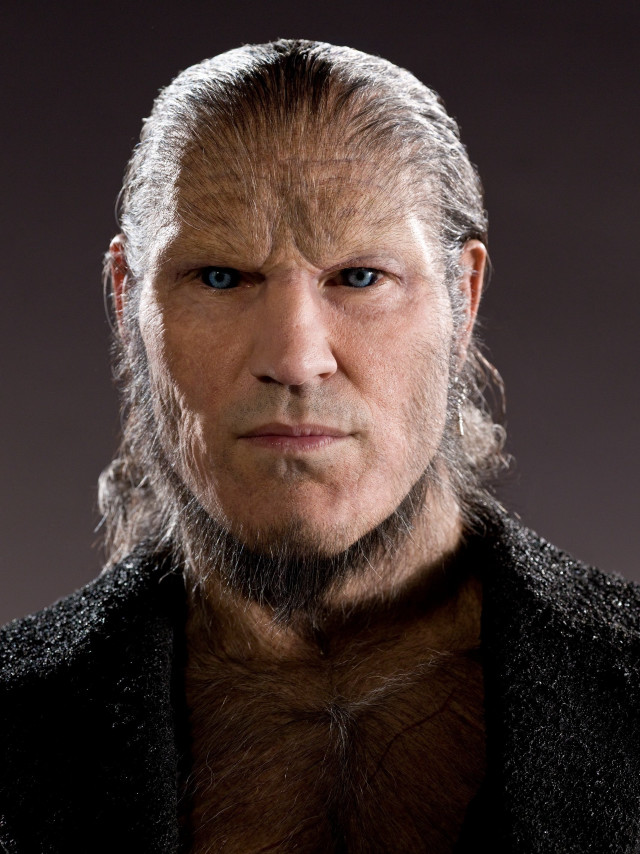 Man long hair beard head free wallpaper - medium preview image