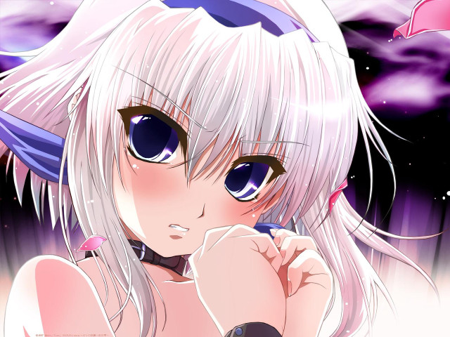 White haired girl blue eyes free wallpaper - medium preview image