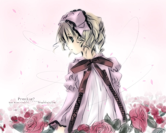 Girl dress roses bow field free wallpaper - medium preview image