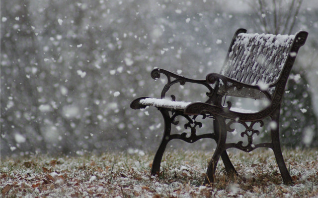Bench snow field tree falling free wallpaper - medium preview image
