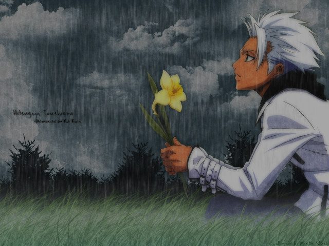 Man flower field cloudy sky free wallpaper - medium preview image