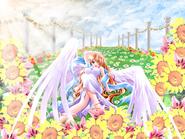 Angel wings flower field dress free wallpaper - medium preview image