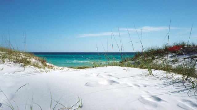 Beach ocean sand dunes blue free wallpaper - medium preview image