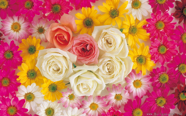 Bunch of flowers in middle free wallpaper - medium preview image