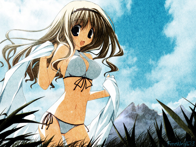 Alice prin bikini field mountains free wallpaper - medium preview image