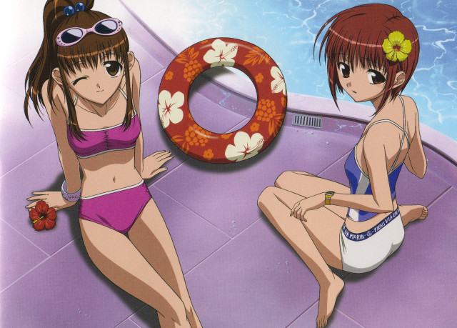 Anime girls pool bikini flower free wallpaper - medium preview image