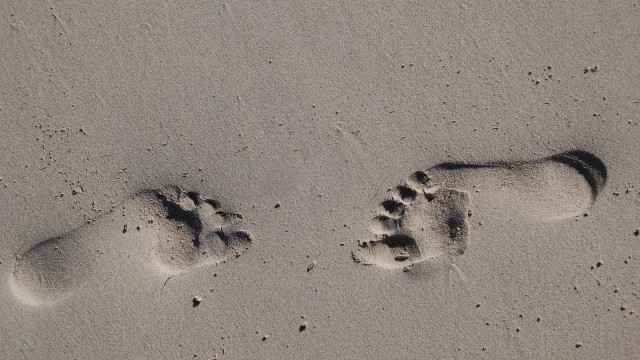 Footprints sand beach wave walking free wallpaper - medium preview image