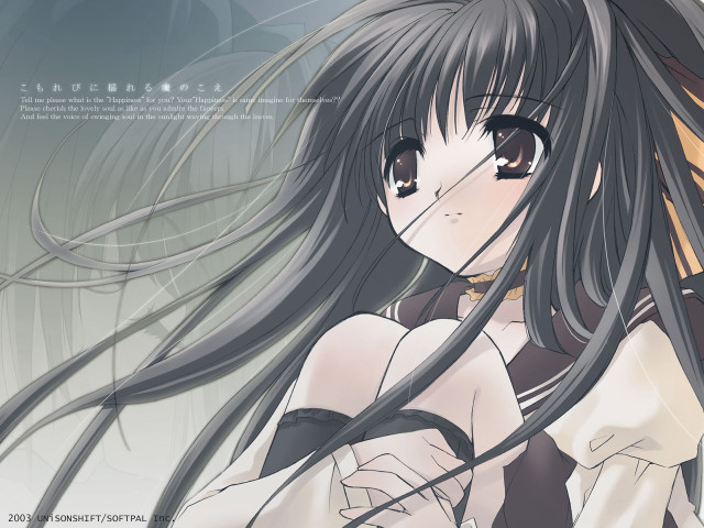 Girl longhair whiteshirt bluebackground sailorcollar free wallpaper - medium preview image