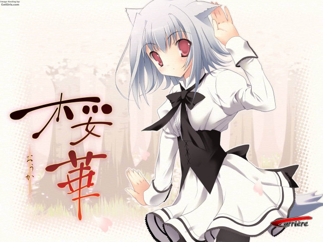 Woman white dress black bowtie free wallpaper - medium preview image