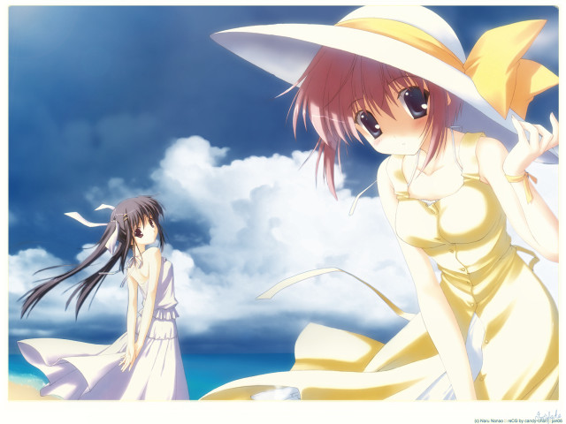 Girl dresses beach cloudy sky free wallpaper - medium preview image
