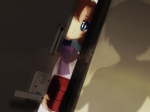 Person door shadow bow blue free wallpaper - medium preview image