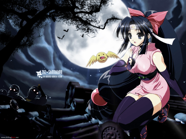 Pink kimono woman fullmoon bats free wallpaper - medium preview image