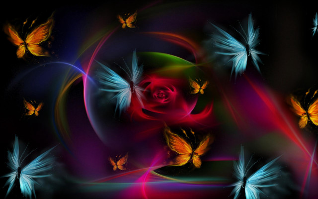 Colorful butterflies rose mystical wings free wallpaper - medium preview image