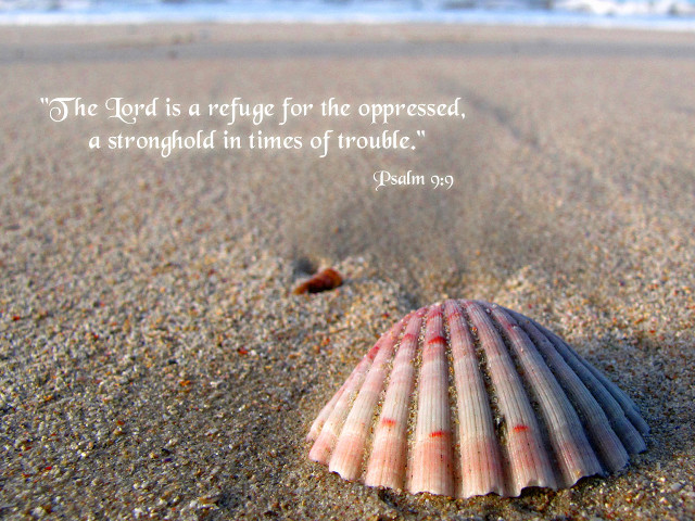 Shell beach bible verse wave free wallpaper - medium preview image