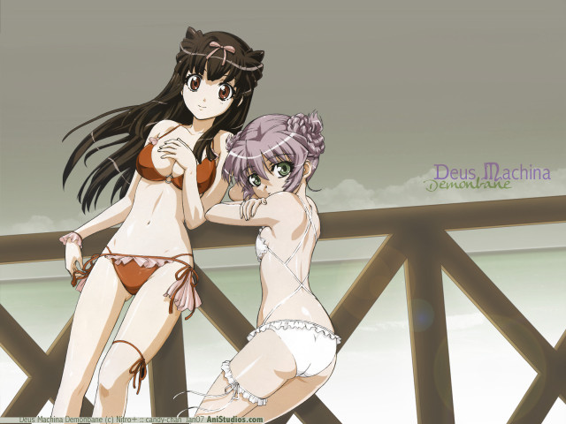 Two women bikinis bridge sky free wallpaper - medium preview image