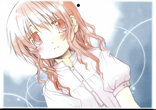 Alice prin blush longhair white free wallpaper - medium preview image