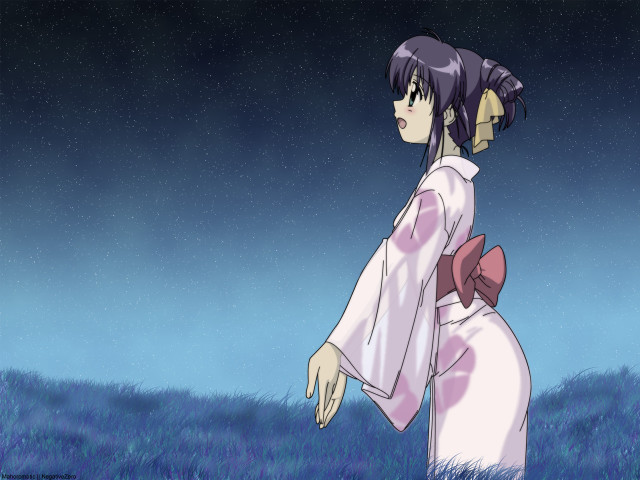 Kimono night field moon fireflies free wallpaper - medium preview image
