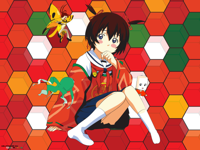 Girl cat dog floor portrait free wallpaper - medium preview image