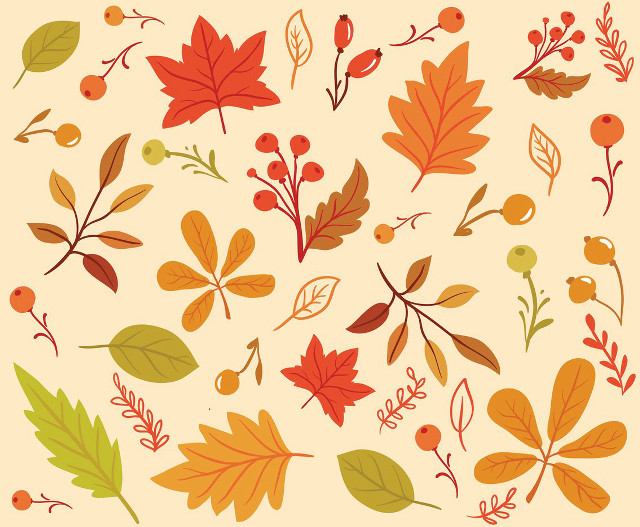Autumn leaves berries illustration julia free wallpaper - medium preview image
