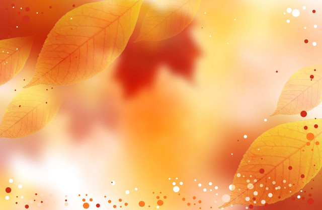 Leaf closeup blurry background nature free wallpaper - medium preview image