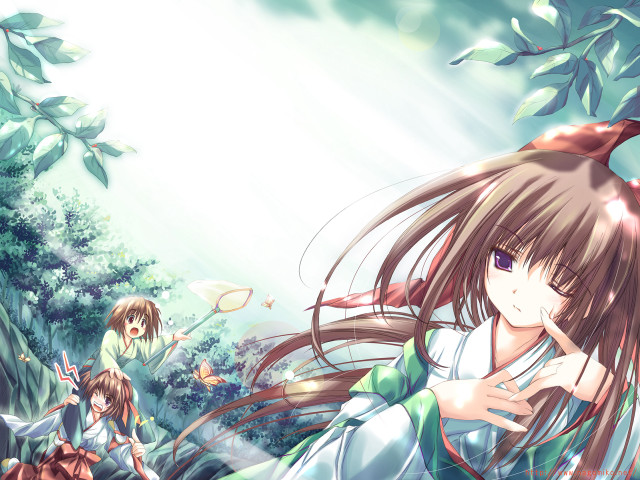 Girl forest magic anime bamboo free wallpaper - medium preview image