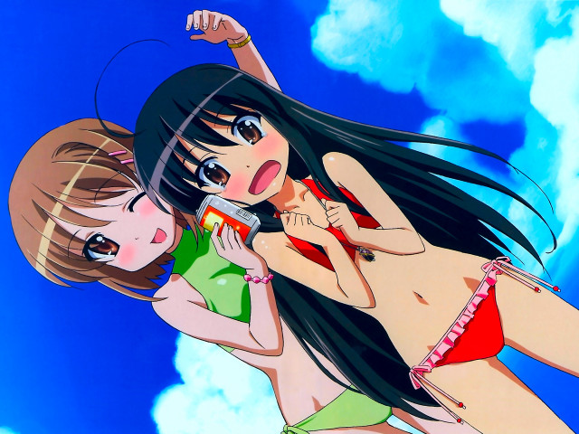 Sky beach two women cellphone free wallpaper - medium preview image
