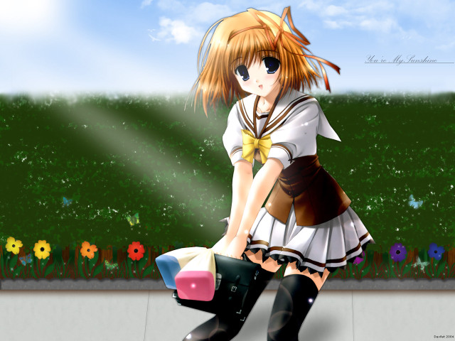 Girl dress boots suitcase flower free wallpaper - medium preview image