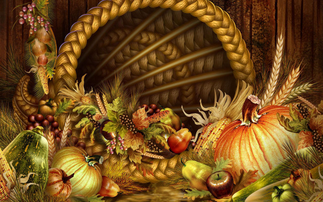Harvest fall vibrant turkey pumpkins free wallpaper - medium preview image