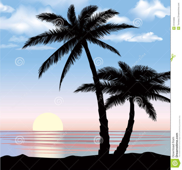 Palm tree beach sunset ocean #2 free wallpaper - medium preview image