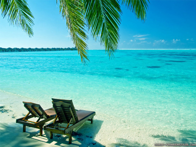 Beach chairs ocean palm tree free wallpaper - medium preview image