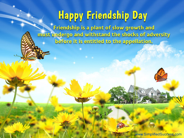 Field flowers butterfly house blue free wallpaper - medium preview image