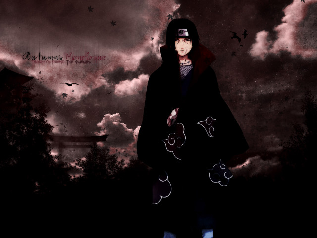 Man black coat bird silhouette free wallpaper - medium preview image