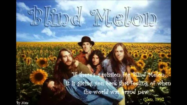 Sunflower field group people quote free wallpaper - medium preview image