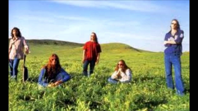 Women group field grass arms free wallpaper - medium preview image