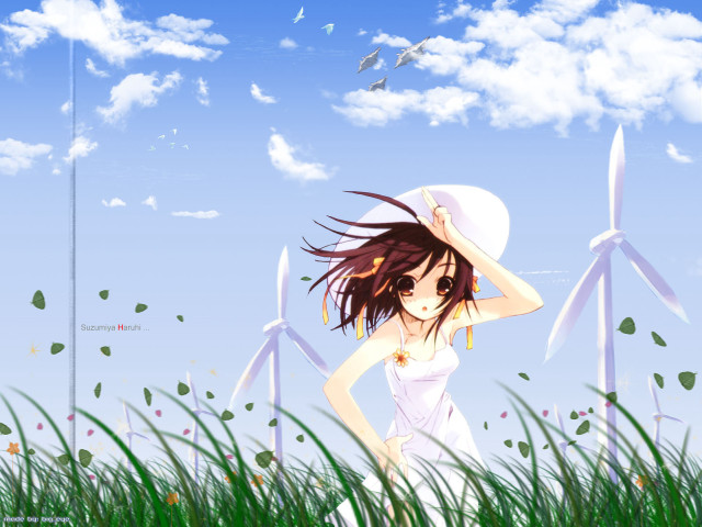 Girl white dress hat field free wallpaper - medium preview image