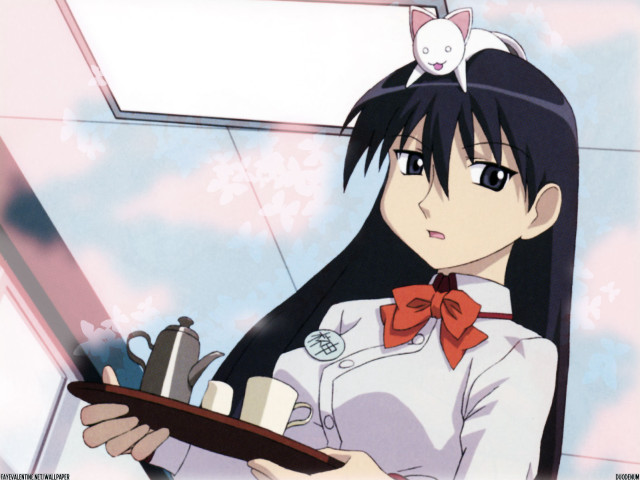 Girl cat tray bow indoors free wallpaper - medium preview image