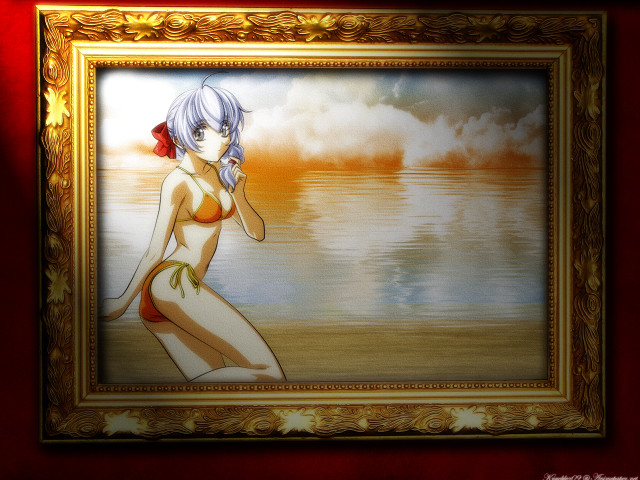 Woman bikini red frame matte free wallpaper - medium preview image