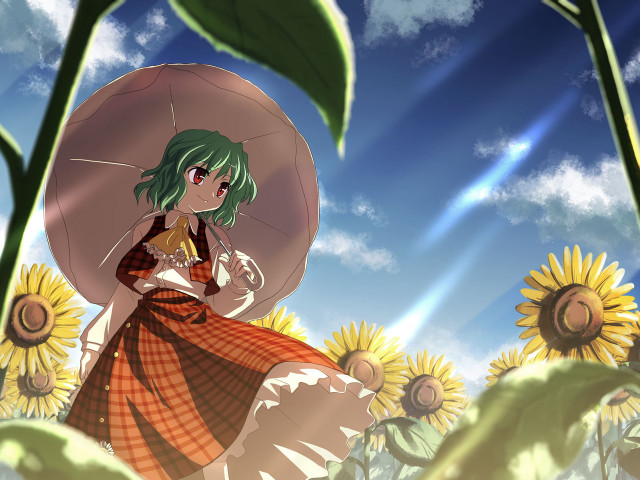 Sunflower field woman umbrella plaid free wallpaper - medium preview image