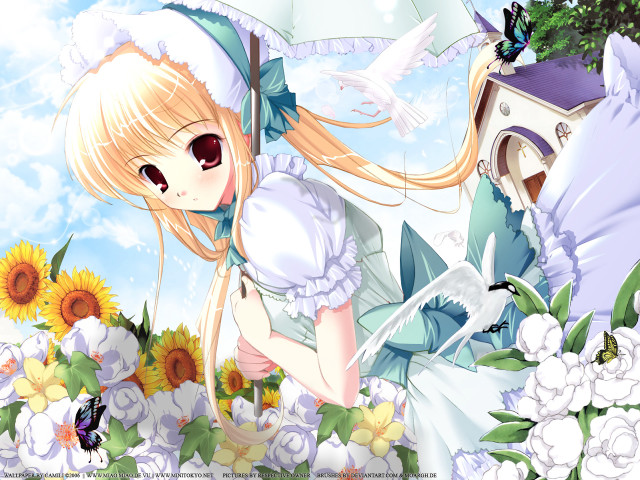 Girl dress umbrella flower field free wallpaper for desktop - medium preview image