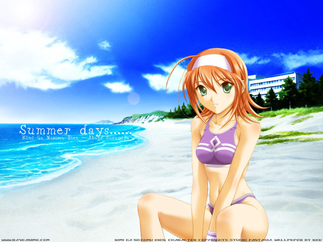 Girl beach bikini summer sky free wallpaper - medium preview image