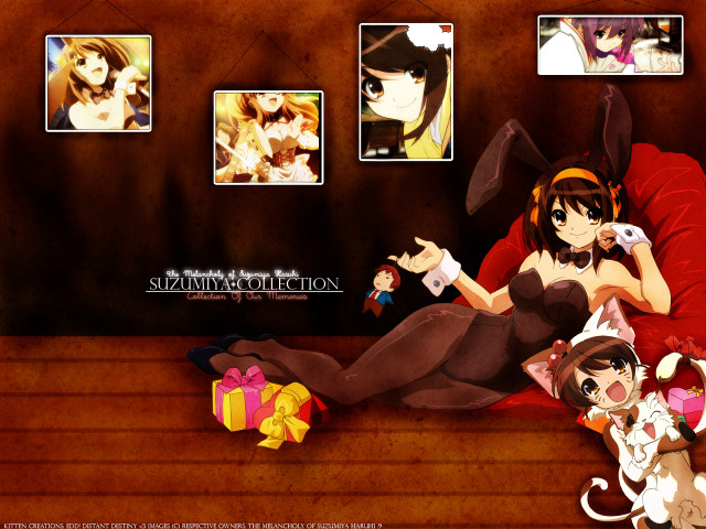 Woman cat dog wall art free wallpaper - medium preview image