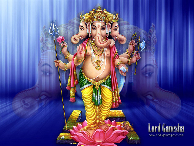 God lotus blue background pink free wallpaper - medium preview image