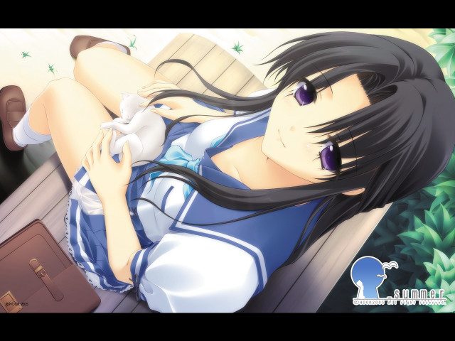 Chizuko yoshida kyoto plant suitcase free wallpaper - medium preview image