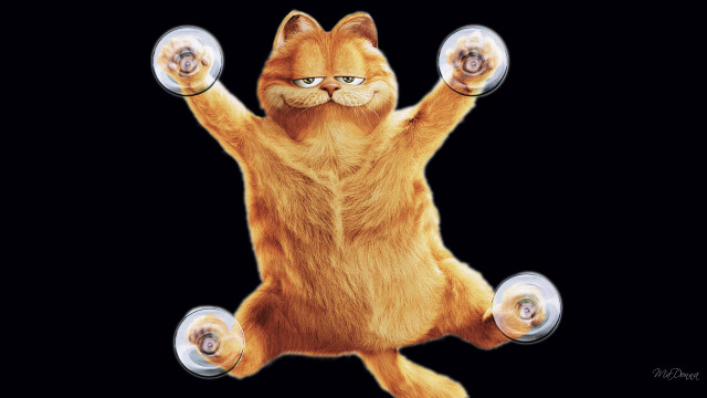 Cat yoga dumbbells arabesque planet free wallpaper - medium preview image