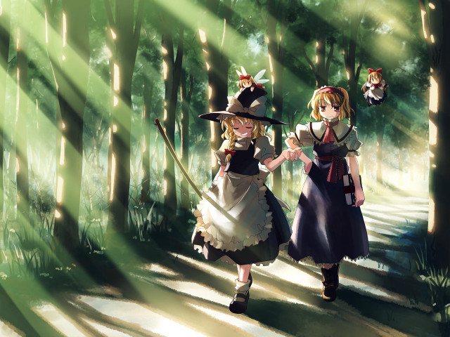 Forest women costumes cat broom free wallpaper - medium preview image