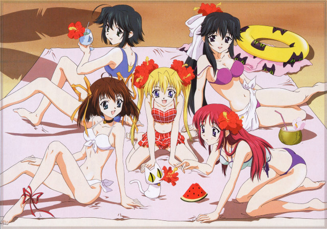 Beachgirls bikini flowers watermelon summer free wallpaper - medium preview image